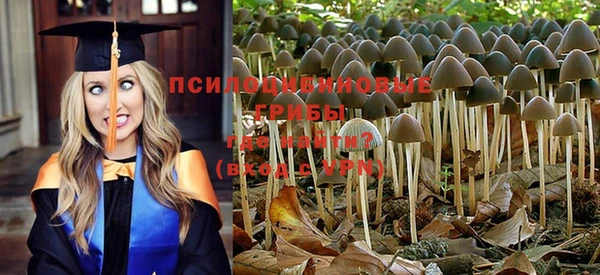 гашик Краснослободск