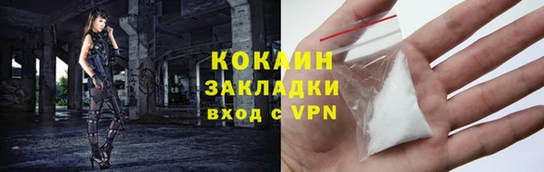 гашик Краснослободск