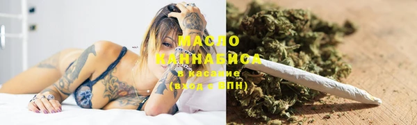 гашик Краснослободск