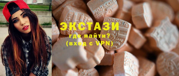 гашик Краснослободск