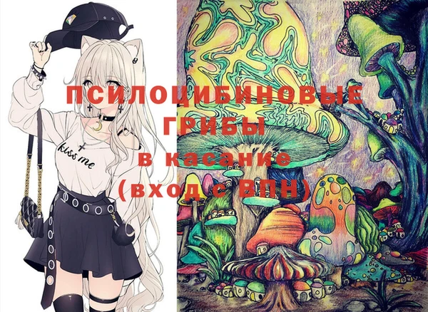 гашик Краснослободск